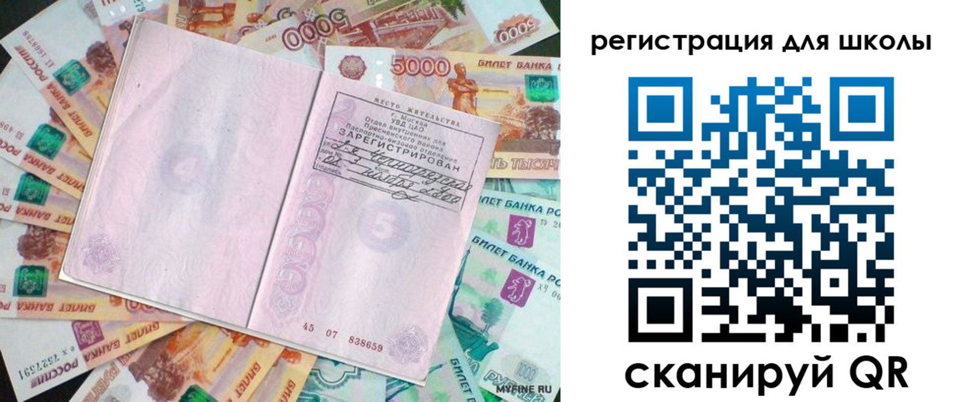 прописка для школы в Нововоронеже